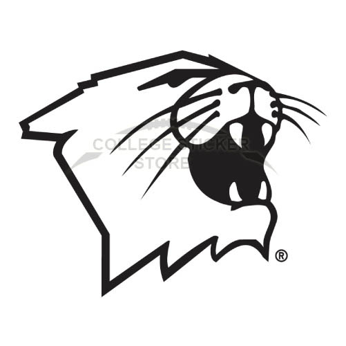 Personal Northwestern Wildcats Iron-on Transfers (Wall Stickers)NO.5704